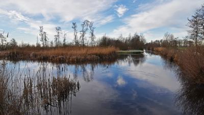 <i class='fa fa-user'></i>&nbsp;kooyammers&nbsp;|  Kijfhoekse Kade&nbsp; <i class='fa fa-eye'>&nbsp;57</i> &nbsp;<i class='fa fa-thumbs-up'>&nbsp;1</i> &nbsp; <i class='fa fa-comment-o'>&nbsp;2</i>