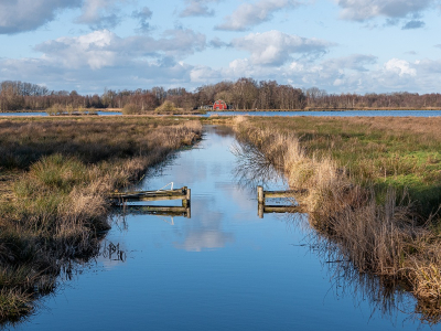 <i class='fa fa-user'></i>&nbsp;Tim Oord&nbsp;|  Jan Durkspolder&nbsp; <i class='fa fa-eye'>&nbsp;98</i> &nbsp;<i class='fa fa-thumbs-up'>&nbsp;1</i> &nbsp; <i class='fa fa-comment-o'>&nbsp;4</i>