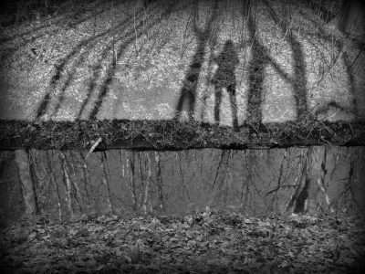 <i class='fa fa-user'></i>&nbsp;Tineke Strijbosch&nbsp;|  Schaduwen en spiegelingen&nbsp; <i class='fa fa-eye'>&nbsp;118</i> &nbsp;<i class='fa fa-thumbs-up'>&nbsp;5</i> &nbsp; <i class='fa fa-comment-o'>&nbsp;7</i>