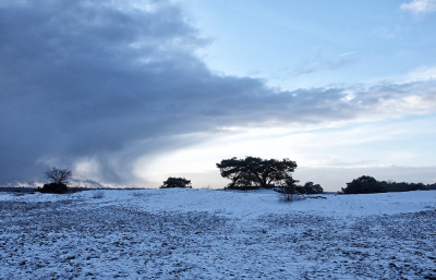 <i class='fa fa-user'></i>&nbsp;nelappelmelk&nbsp;|  Winters landschap&nbsp; <i class='fa fa-eye'>&nbsp;107</i> &nbsp; <i class='fa fa-comment-o'>&nbsp;9</i>