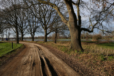 <i class='fa fa-user'></i>&nbsp;frbeuming&nbsp;|  Zandweg bij het Reestdal&nbsp; <i class='fa fa-eye'>&nbsp;82</i> &nbsp; <i class='fa fa-comment-o'>&nbsp;5</i>