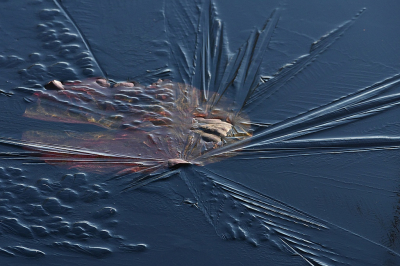 <i class='fa fa-user'></i>&nbsp;frbeuming&nbsp;|  IJsvormen&nbsp; <i class='fa fa-eye'>&nbsp;79</i> &nbsp; <i class='fa fa-comment-o'>&nbsp;6</i>