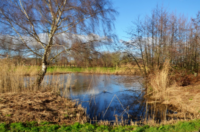 <i class='fa fa-user'></i>&nbsp;B.M.Schouten-Ruis&nbsp;|  Landschap&nbsp; <i class='fa fa-eye'>&nbsp;79</i> &nbsp;<i class='fa fa-thumbs-up'>&nbsp;1</i> &nbsp; <i class='fa fa-comment-o'>&nbsp;5</i>