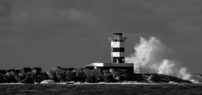 <i class='fa fa-user'></i>&nbsp;Eef Kieft&nbsp;|  Ruw zeetje&nbsp; <i class='fa fa-eye'>&nbsp;99</i> &nbsp; <i class='fa fa-comment-o'>&nbsp;1</i>