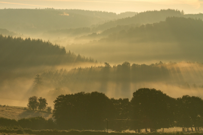 <i class='fa fa-user'></i>&nbsp;Henk Bouter&nbsp;|  Ochtend nevel&nbsp; <i class='fa fa-eye'>&nbsp;116</i> &nbsp;<i class='fa fa-thumbs-up'>&nbsp;16</i> &nbsp; <i class='fa fa-comment-o'>&nbsp;12</i>