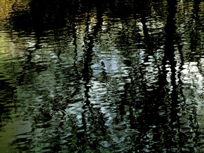 <i class='fa fa-user'></i>&nbsp;hesterb&nbsp;|  Vlak na de avondbries&nbsp; <i class='fa fa-eye'>&nbsp;81</i> &nbsp; <i class='fa fa-comment-o'>&nbsp;5</i>