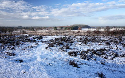 <i class='fa fa-user'></i>&nbsp;nelappelmelk&nbsp;|  Overzicht winters landschap&nbsp; <i class='fa fa-eye'>&nbsp;99</i> &nbsp;<i class='fa fa-thumbs-up'>&nbsp;1</i> &nbsp; <i class='fa fa-comment-o'>&nbsp;7</i>