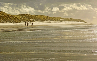 <i class='fa fa-user'></i>&nbsp;Nel R&nbsp;|  Strand&nbsp; <i class='fa fa-eye'>&nbsp;117</i> &nbsp;<i class='fa fa-thumbs-up'>&nbsp;2</i> &nbsp; <i class='fa fa-comment-o'>&nbsp;5</i>