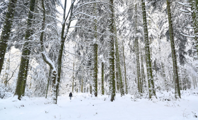 <i class='fa fa-user'></i>&nbsp;liesbeth van vliet&nbsp;|  Sneeuw landschap&nbsp; <i class='fa fa-eye'>&nbsp;99</i> &nbsp; <i class='fa fa-comment-o'>&nbsp;2</i>