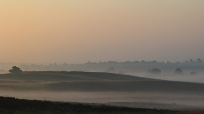 Met zonsopkomst gewandeld naar het uitzichtpunt langs de Asselse Heide. Tijdens het Gouden Uur deze foto kunnen maken. Foto gemaakt vanaf statief.