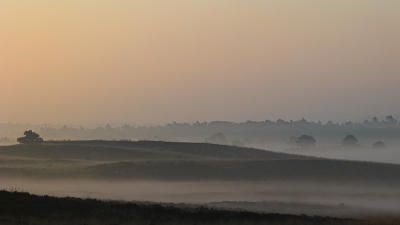 Met zonsopkomst gewandeld naar het uitzichtpunt langs de Asselse Heide. Tijdens het Gouden Uur deze foto kunnen maken. Foto gemaakt vanaf statief.