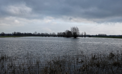 <i class='fa fa-user'></i>&nbsp;nelappelmelk&nbsp;|  Ondergelopen land&nbsp; <i class='fa fa-eye'>&nbsp;76</i> &nbsp;<i class='fa fa-thumbs-up'>&nbsp;1</i> &nbsp; <i class='fa fa-comment-o'>&nbsp;7</i>