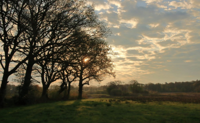 <i class='fa fa-user'></i>&nbsp;Tineke Strijbosch&nbsp;|  Landschap in het zachte vroege ochtendlicht&nbsp; <i class='fa fa-eye'>&nbsp;81</i> &nbsp;<i class='fa fa-thumbs-up'>&nbsp;4</i> &nbsp; <i class='fa fa-comment-o'>&nbsp;10</i>