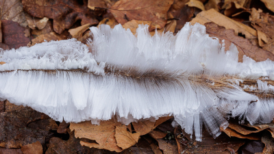 <i class='fa fa-user'></i>&nbsp;Joop Gerretse&nbsp;|  IJshaar&nbsp; <i class='fa fa-eye'>&nbsp;90</i> &nbsp;<i class='fa fa-thumbs-up'>&nbsp;2</i> &nbsp; <i class='fa fa-comment-o'>&nbsp;8</i>