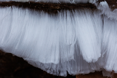 <i class='fa fa-user'></i>&nbsp;Joop Gerretse&nbsp;|  IJshaar&nbsp; <i class='fa fa-eye'>&nbsp;106</i> &nbsp;<i class='fa fa-thumbs-up'>&nbsp;4</i> &nbsp; <i class='fa fa-comment-o'>&nbsp;9</i>