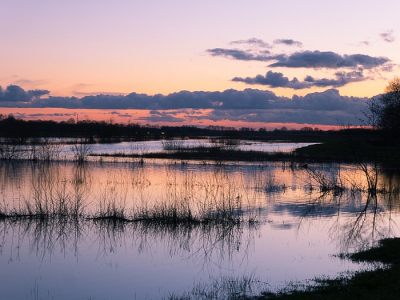 <i class='fa fa-user'></i>&nbsp;binkmte&nbsp;|  Beekdal Groote Diep&nbsp; <i class='fa fa-eye'>&nbsp;82</i> &nbsp;<i class='fa fa-thumbs-up'>&nbsp;1</i> &nbsp; <i class='fa fa-comment-o'>&nbsp;6</i>