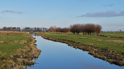 <i class='fa fa-user'></i>&nbsp;kooyammers&nbsp;|  Nespolder Bergambacht&nbsp; <i class='fa fa-eye'>&nbsp;69</i> &nbsp;<i class='fa fa-thumbs-up'>&nbsp;2</i> &nbsp; <i class='fa fa-comment-o'>&nbsp;5</i>