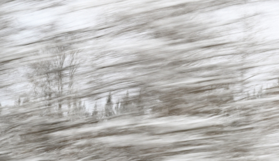 <i class='fa fa-user'></i>&nbsp;liesbeth van vliet&nbsp;|  Sneeuw storm&nbsp; <i class='fa fa-eye'>&nbsp;154</i> &nbsp;<i class='fa fa-thumbs-up'>&nbsp;6</i> &nbsp; <i class='fa fa-comment-o'>&nbsp;8</i>