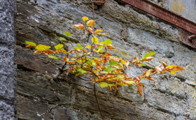 <i class='fa fa-user'></i>&nbsp;Henk Bouter&nbsp;|  De Beuk er in&nbsp; <i class='fa fa-eye'>&nbsp;86</i> &nbsp; <i class='fa fa-comment-o'>&nbsp;5</i>