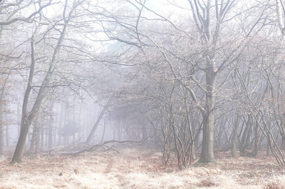 <i class='fa fa-user'></i>&nbsp;nelappelmelk&nbsp;|  De ijzel smelt&nbsp; <i class='fa fa-eye'>&nbsp;135</i> &nbsp;<i class='fa fa-thumbs-up'>&nbsp;8</i> &nbsp; <i class='fa fa-comment-o'>&nbsp;7</i>