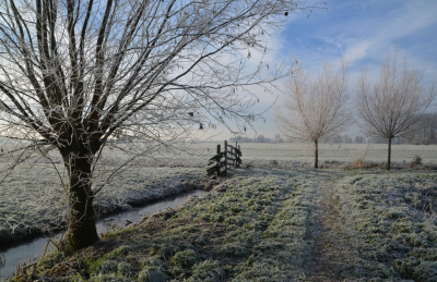 <i class='fa fa-user'></i>&nbsp;B.M.Schouten-Ruis&nbsp;|  Winterlandschap&nbsp; <i class='fa fa-eye'>&nbsp;91</i> &nbsp;<i class='fa fa-thumbs-up'>&nbsp;3</i> &nbsp; <i class='fa fa-comment-o'>&nbsp;4</i>