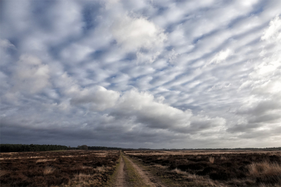 <i class='fa fa-user'></i>&nbsp;nelappelmelk&nbsp;|  Vrolijke wolkjes&nbsp; <i class='fa fa-eye'>&nbsp;119</i> &nbsp;<i class='fa fa-thumbs-up'>&nbsp;4</i> &nbsp; <i class='fa fa-comment-o'>&nbsp;12</i>