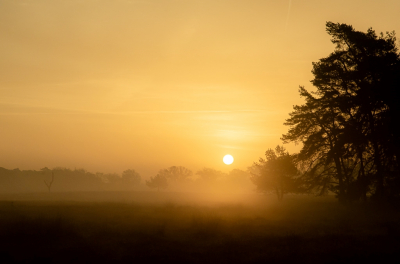 <i class='fa fa-user'></i>&nbsp;ErnovanDoorn&nbsp;|  Zonsopkomst&nbsp; <i class='fa fa-eye'>&nbsp;75</i> &nbsp;<i class='fa fa-thumbs-up'>&nbsp;2</i> &nbsp; <i class='fa fa-comment-o'>&nbsp;6</i>