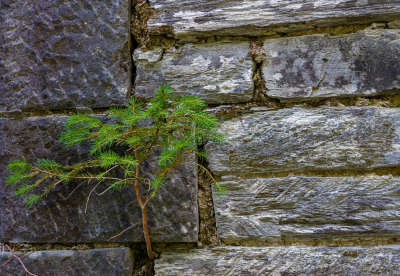 <i class='fa fa-user'></i>&nbsp;Henk Bouter&nbsp;|  LariXparty&nbsp; <i class='fa fa-eye'>&nbsp;70</i> &nbsp;<i class='fa fa-thumbs-up'>&nbsp;1</i> &nbsp; <i class='fa fa-comment-o'>&nbsp;2</i>