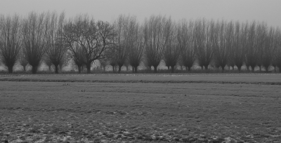 <i class='fa fa-user'></i>&nbsp;Tineke Strijbosch&nbsp;|  Knotwilgen in de rij&nbsp; <i class='fa fa-eye'>&nbsp;69</i> &nbsp;<i class='fa fa-thumbs-up'>&nbsp;1</i> &nbsp; <i class='fa fa-comment-o'>&nbsp;5</i>