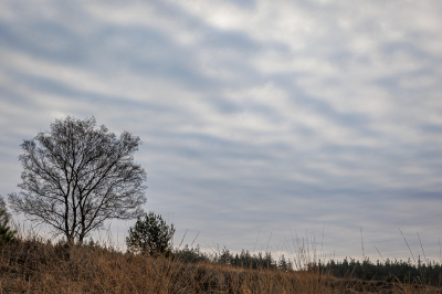 <i class='fa fa-user'></i>&nbsp;Joop Gerretse&nbsp;|  Wolkenlucht&nbsp; <i class='fa fa-eye'>&nbsp;67</i> &nbsp;<i class='fa fa-thumbs-up'>&nbsp;1</i> &nbsp; <i class='fa fa-comment-o'>&nbsp;5</i>