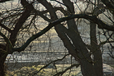 <i class='fa fa-user'></i>&nbsp;hesterb&nbsp;|  Mistiger achtergrond&nbsp; <i class='fa fa-eye'>&nbsp;74</i> &nbsp; <i class='fa fa-comment-o'>&nbsp;4</i>