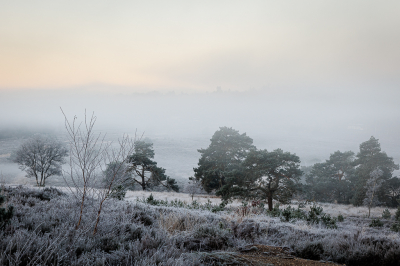 Hetzelfde gebied als mijn vorige foto, maar nu een dag later. Aanvankelijk zat het potdicht, de zon kwam er echter snel door.
Camera op statief gezet, zelfontspanner gebruikt.