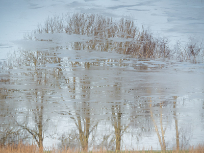 <i class='fa fa-user'></i>&nbsp;Truus Aletta Maan&nbsp;|  Weerspiegeling&nbsp; <i class='fa fa-eye'>&nbsp;76</i> &nbsp;<i class='fa fa-thumbs-up'>&nbsp;1</i> &nbsp; <i class='fa fa-comment-o'>&nbsp;7</i>