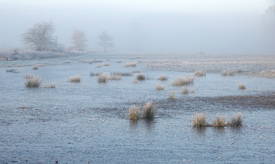 <i class='fa fa-user'></i>&nbsp;nelappelmelk&nbsp;|  Kou&nbsp; <i class='fa fa-eye'>&nbsp;128</i> &nbsp;<i class='fa fa-thumbs-up'>&nbsp;3</i> &nbsp; <i class='fa fa-comment-o'>&nbsp;7</i>