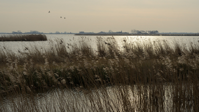 <i class='fa fa-user'></i>&nbsp;Hendrik van Kampen&nbsp;|  Bombrekken&nbsp; <i class='fa fa-eye'>&nbsp;99</i> &nbsp;<i class='fa fa-thumbs-up'>&nbsp;4</i> &nbsp; <i class='fa fa-comment-o'>&nbsp;8</i>