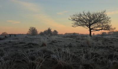 <i class='fa fa-user'></i>&nbsp;Tineke Strijbosch&nbsp;|  IJskoude vroege ochtend&nbsp; <i class='fa fa-eye'>&nbsp;75</i> &nbsp;<i class='fa fa-thumbs-up'>&nbsp;1</i> &nbsp; <i class='fa fa-comment-o'>&nbsp;4</i>