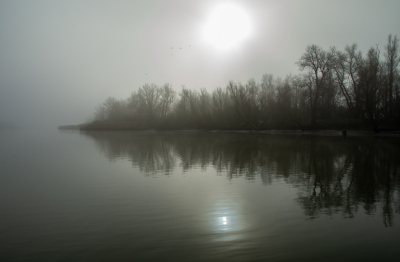 <i class='fa fa-user'></i>&nbsp;ErnovanDoorn&nbsp;|  Mist&nbsp; <i class='fa fa-eye'>&nbsp;83</i> &nbsp; <i class='fa fa-comment-o'>&nbsp;6</i>