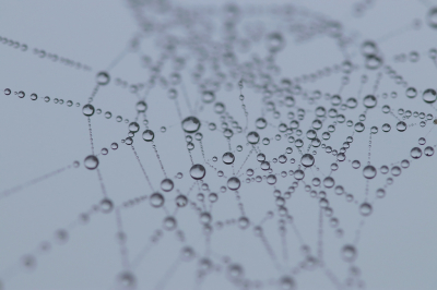 <i class='fa fa-user'></i>&nbsp;Mark de Bruijn&nbsp;|  Druppels&nbsp; <i class='fa fa-eye'>&nbsp;82</i> &nbsp;<i class='fa fa-thumbs-up'>&nbsp;1</i> &nbsp; <i class='fa fa-comment-o'>&nbsp;8</i>