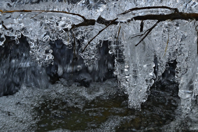 <i class='fa fa-user'></i>&nbsp;liesbeth van vliet&nbsp;|  Druiventros van ijs&nbsp; <i class='fa fa-eye'>&nbsp;113</i> &nbsp;<i class='fa fa-thumbs-up'>&nbsp;12</i> &nbsp; <i class='fa fa-comment-o'>&nbsp;12</i>