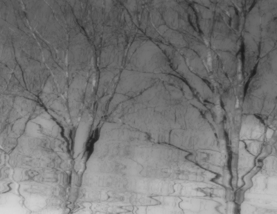 <i class='fa fa-user'></i>&nbsp;Tineke Strijbosch&nbsp;|  Spiegelingen&nbsp; <i class='fa fa-eye'>&nbsp;76</i> &nbsp;<i class='fa fa-thumbs-up'>&nbsp;2</i> &nbsp; <i class='fa fa-comment-o'>&nbsp;5</i>