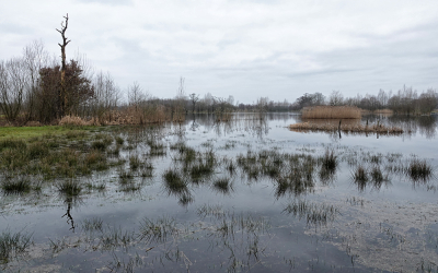 <i class='fa fa-user'></i>&nbsp;nelappelmelk&nbsp;|  Nat&nbsp; <i class='fa fa-eye'>&nbsp;95</i> &nbsp;<i class='fa fa-thumbs-up'>&nbsp;1</i> &nbsp; <i class='fa fa-comment-o'>&nbsp;5</i>