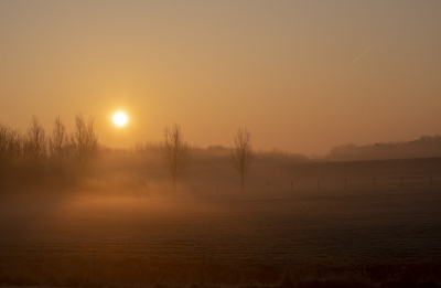 Als ik naar mijn werk fiets, rij ik regelmatig langs het Balijbos bij Pijnacker. Gisterochtend kwam de zon daar z mooi op boven de mistbanken, dat ik hier foto's van gemaakt heb. Maar hoe maak je nu praktisch gezien een mooie foto van de zon zonder dat deze al te veel is uitgebeten? Daarvoor heb ik de scherptediepte omhoog gegooid, evenals de sluitertijd en de ISO waarden omlaag. Van de mist die er hing, is hier niet veel meer over. Maar het resultaat is er niet minder om! Je kan zien dat de eerste lichtstralen hier, wanneer de zon boven de bomen uitkomt, een bepaald deel van het weiland verlicht. Ik ben benieuwd wat jullie van mijn foto vinden.