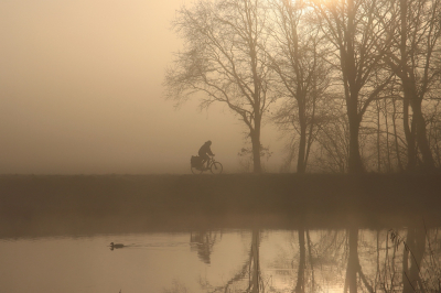<i class='fa fa-user'></i>&nbsp;Tineke Strijbosch&nbsp;|  Dichte mist, en ieder gaat zijn eigen weg&nbsp; <i class='fa fa-eye'>&nbsp;94</i> &nbsp;<i class='fa fa-thumbs-up'>&nbsp;7</i> &nbsp; <i class='fa fa-comment-o'>&nbsp;10</i>
