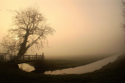 <i class='fa fa-user'></i>&nbsp;hesterb&nbsp;|  Mist&nbsp; <i class='fa fa-eye'>&nbsp;133</i> &nbsp;<i class='fa fa-thumbs-up'>&nbsp;3</i> &nbsp; <i class='fa fa-comment-o'>&nbsp;7</i>