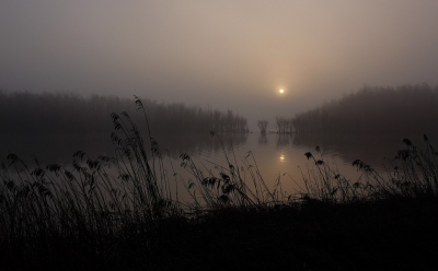 <i class='fa fa-user'></i>&nbsp;Jacolienl&nbsp;|  Mistige morgen&nbsp; <i class='fa fa-eye'>&nbsp;87</i> &nbsp; <i class='fa fa-comment-o'>&nbsp;3</i>