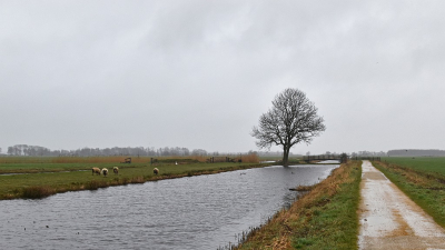 <i class='fa fa-user'></i>&nbsp;kooyammers&nbsp;|  Polder Groot-Keulevaart&nbsp; <i class='fa fa-eye'>&nbsp;73</i> &nbsp;<i class='fa fa-thumbs-up'>&nbsp;2</i> &nbsp; <i class='fa fa-comment-o'>&nbsp;1</i>