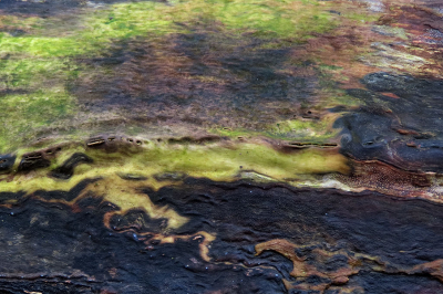 <i class='fa fa-user'></i>&nbsp;A. Soeting&nbsp;|  Algenstructuur&nbsp; <i class='fa fa-eye'>&nbsp;76</i> &nbsp;<i class='fa fa-thumbs-up'>&nbsp;1</i> &nbsp; <i class='fa fa-comment-o'>&nbsp;3</i>