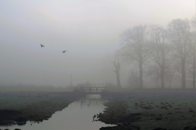 <i class='fa fa-user'></i>&nbsp;hesterb&nbsp;|  Mist&nbsp; <i class='fa fa-eye'>&nbsp;81</i> &nbsp;<i class='fa fa-thumbs-up'>&nbsp;1</i> &nbsp; <i class='fa fa-comment-o'>&nbsp;5</i>