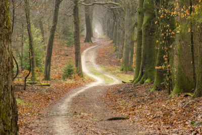 <i class='fa fa-user'></i>&nbsp;ErnovanDoorn&nbsp;|  Bospad&nbsp; <i class='fa fa-eye'>&nbsp;96</i> &nbsp;<i class='fa fa-thumbs-up'>&nbsp;2</i> &nbsp; <i class='fa fa-comment-o'>&nbsp;7</i>