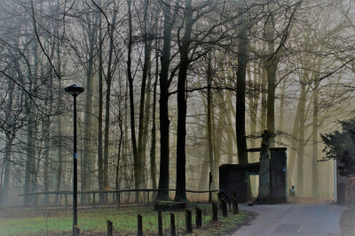 <i class='fa fa-user'></i>&nbsp;hesterb&nbsp;|  Duinvlietingang&nbsp; <i class='fa fa-eye'>&nbsp;95</i> &nbsp; <i class='fa fa-comment-o'>&nbsp;0</i>